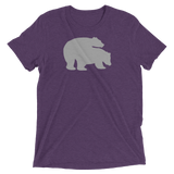 Bears