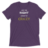 Just The Right Amount of Crazy